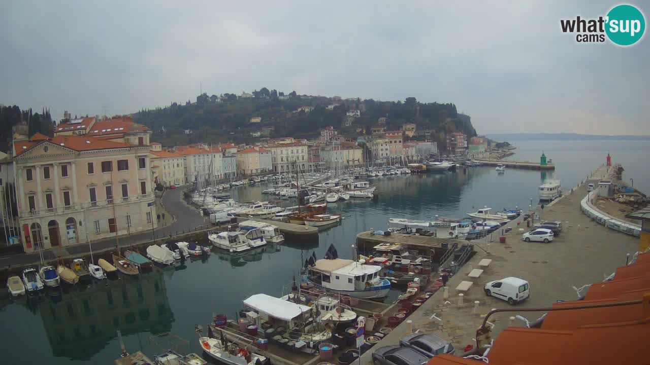 Web kamera uživo iz Pirana “Mandrač” – Nevjerojatan pogled uživo iz Ville Piranesi