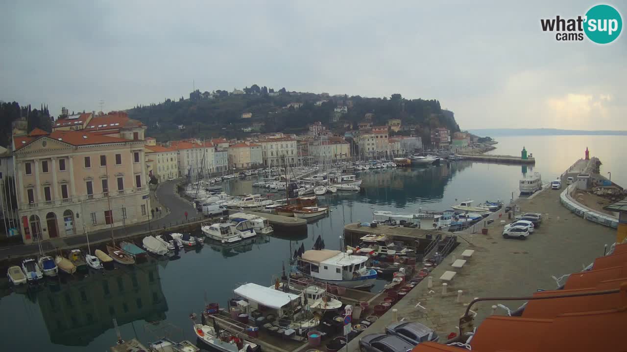 Iz Pirana Spletna kamera v živo “Mandrač” – Neverjeten pogled v živo iz Vile Piranesi