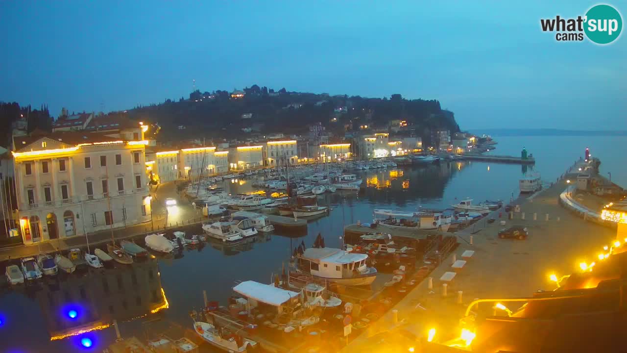 Web kamera uživo iz Pirana “Mandrač” – Nevjerojatan pogled uživo iz Ville Piranesi