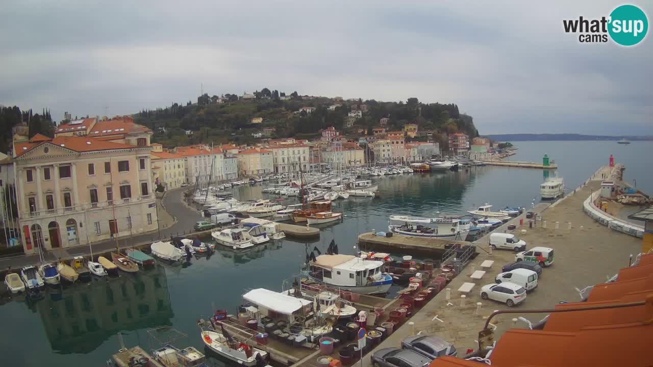 Webcam en direct de Piran “Mandrač” – Incroyable vue en direct de la Villa Piranesi