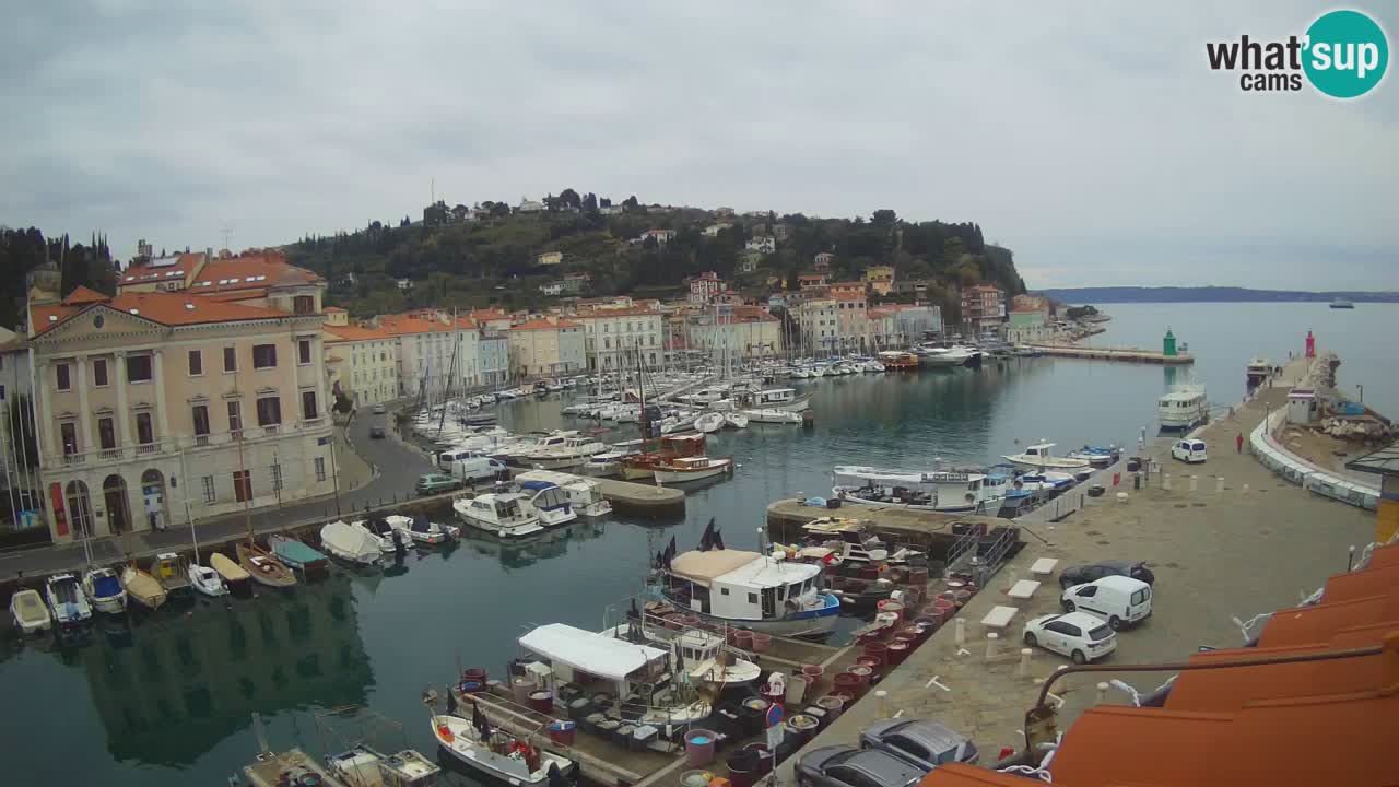 Live webcam from Piran “Mandrač” – Amazing live view from Villa Piranesi