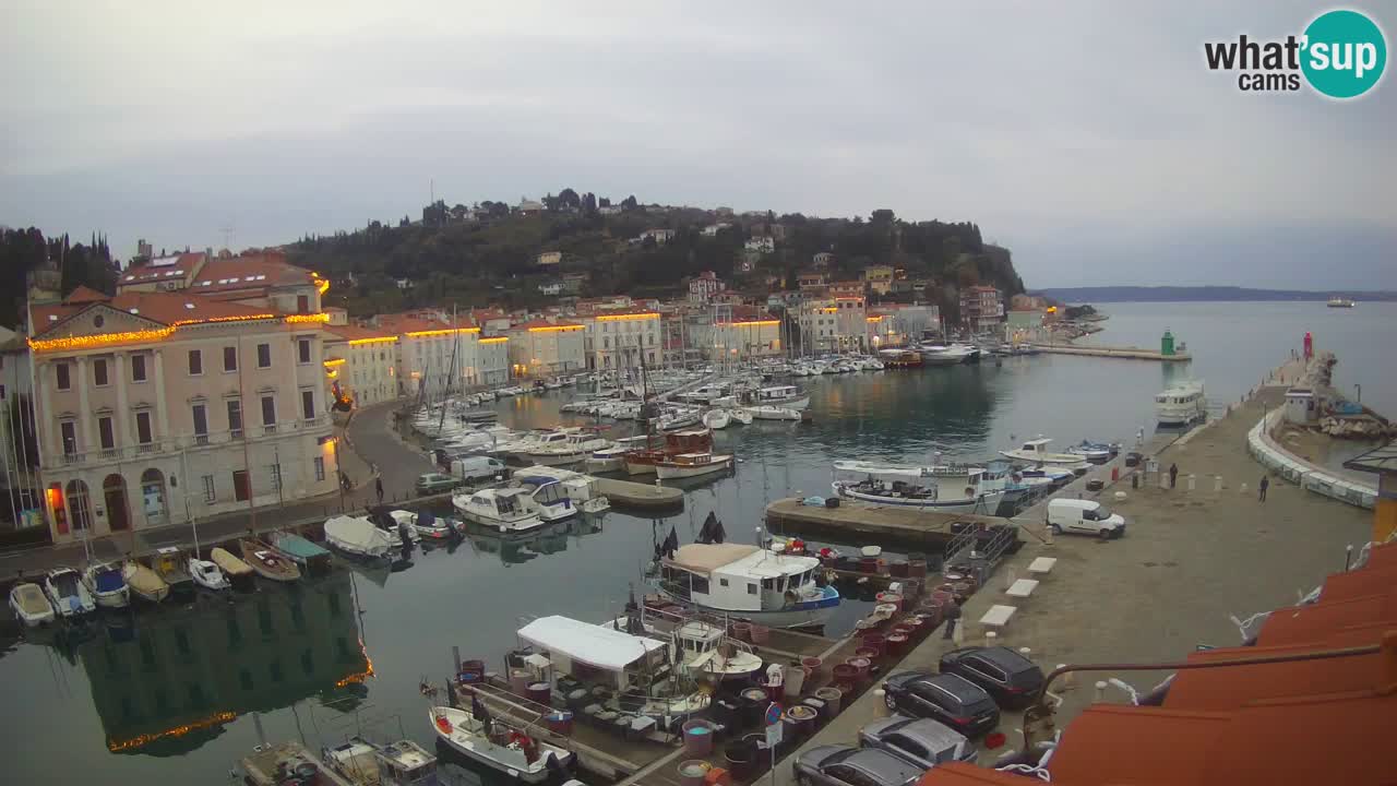 Iz Pirana Spletna kamera v živo “Mandrač” – Neverjeten pogled v živo iz Vile Piranesi