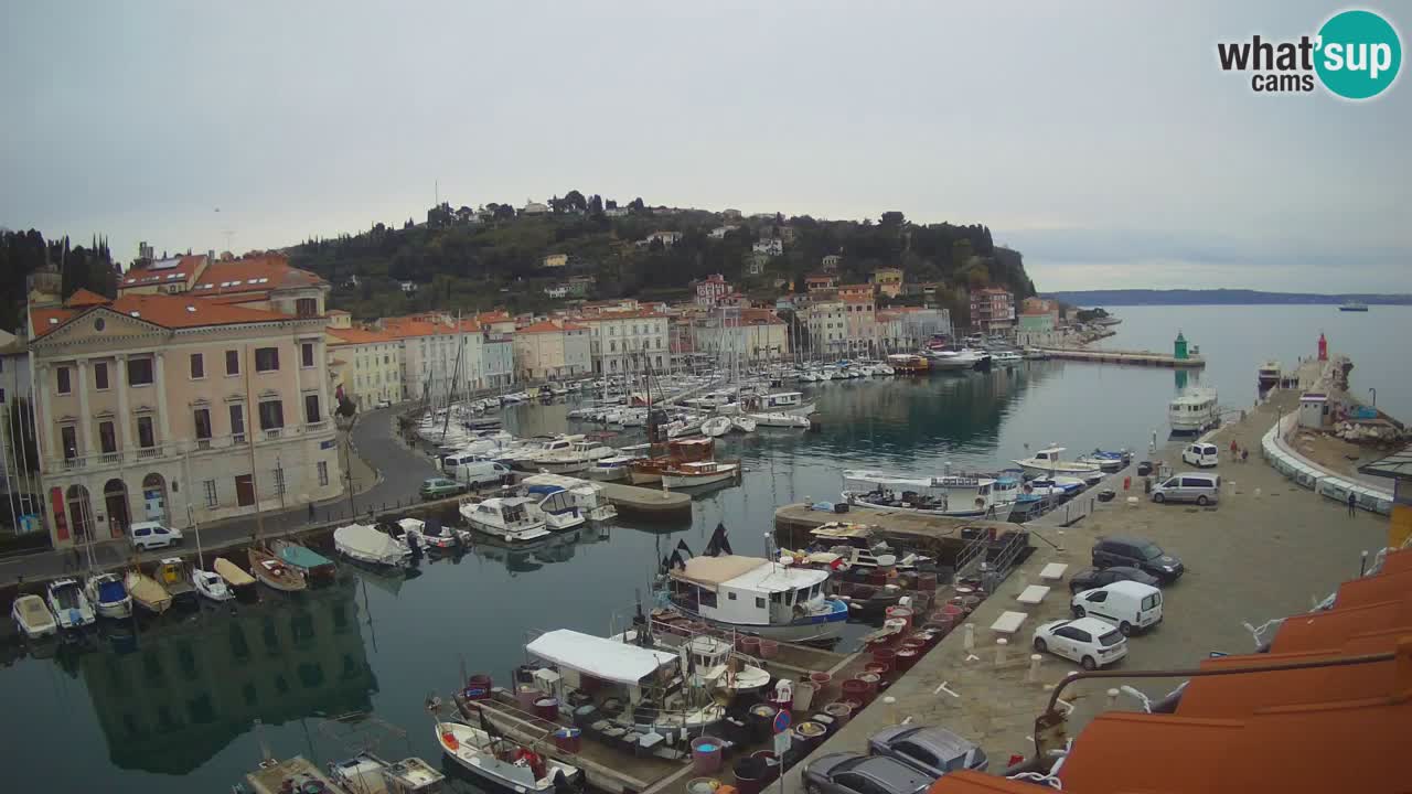 Webcam en direct de Piran “Mandrač” – Incroyable vue en direct de la Villa Piranesi