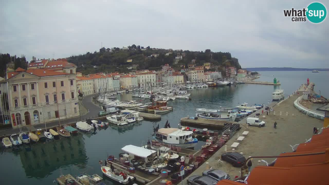 Live webcam from Piran “Mandrač” – Amazing live view from Villa Piranesi