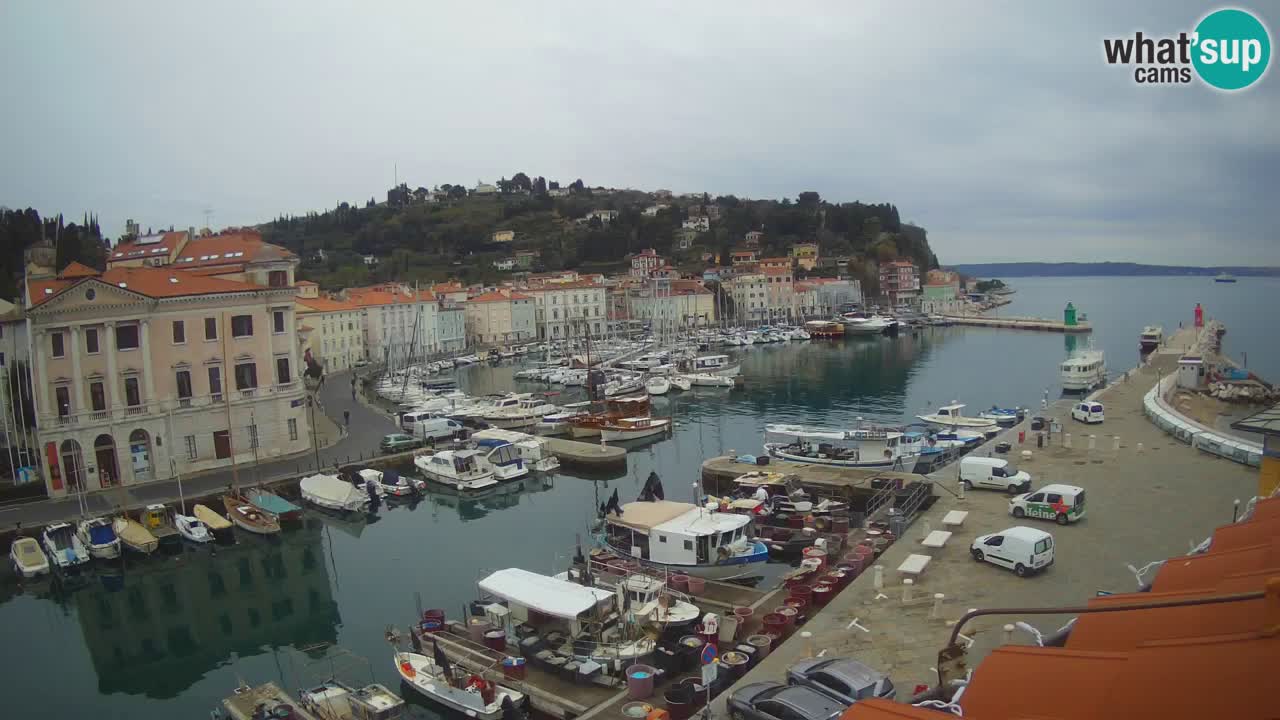 Live webcam from Piran “Mandrač” – Amazing live view from Villa Piranesi