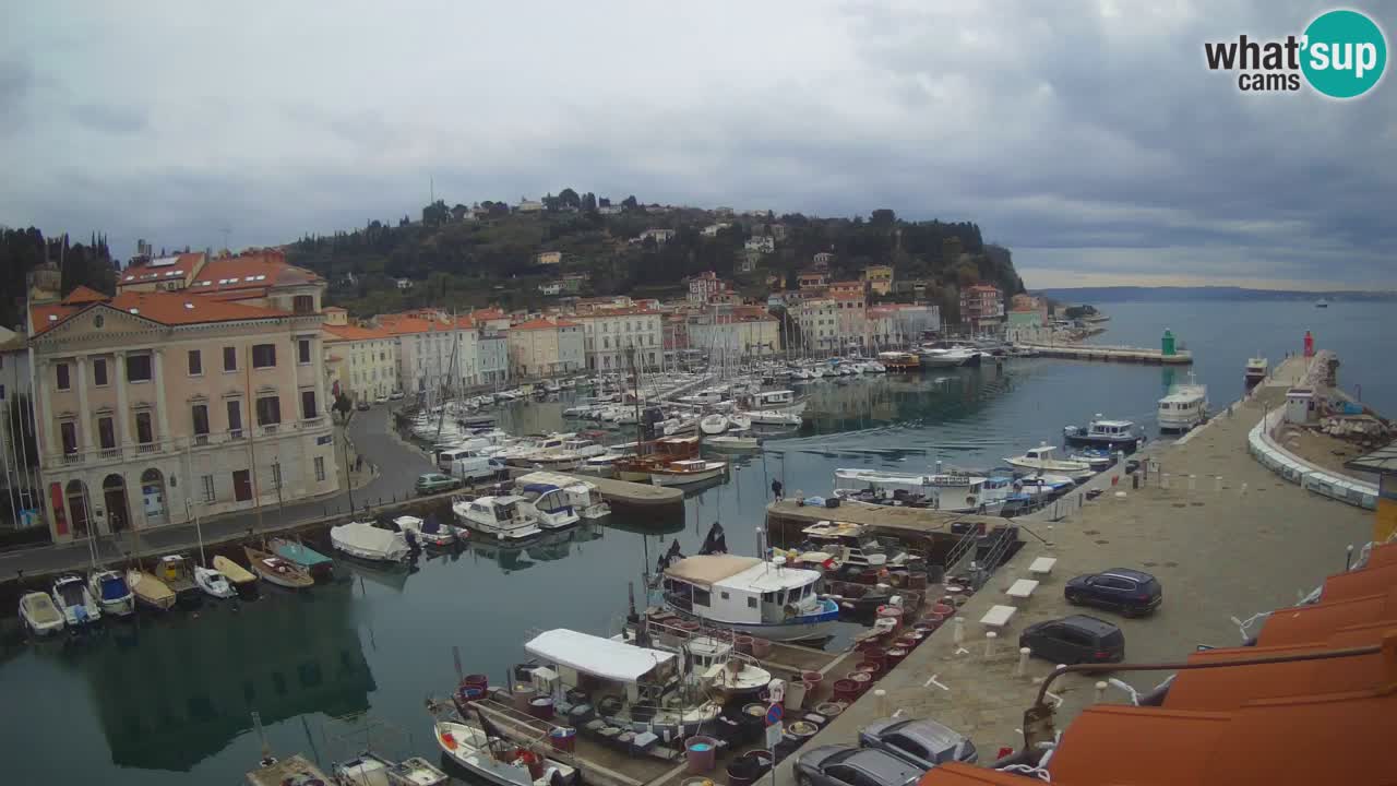 Live webcam from Piran “Mandrač” – Amazing live view from Villa Piranesi
