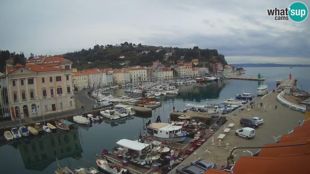 Live webcam from Piran “Mandrač” – Amazing live view from Villa Piranesi