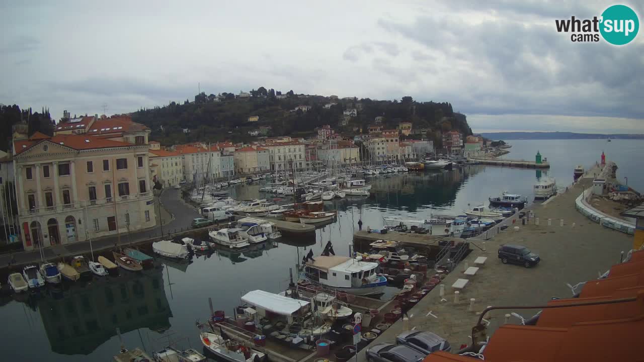 Live-Webcam aus Piran “Mandrač” – Erstaunliche Live-Ansicht von Villa Piranesi