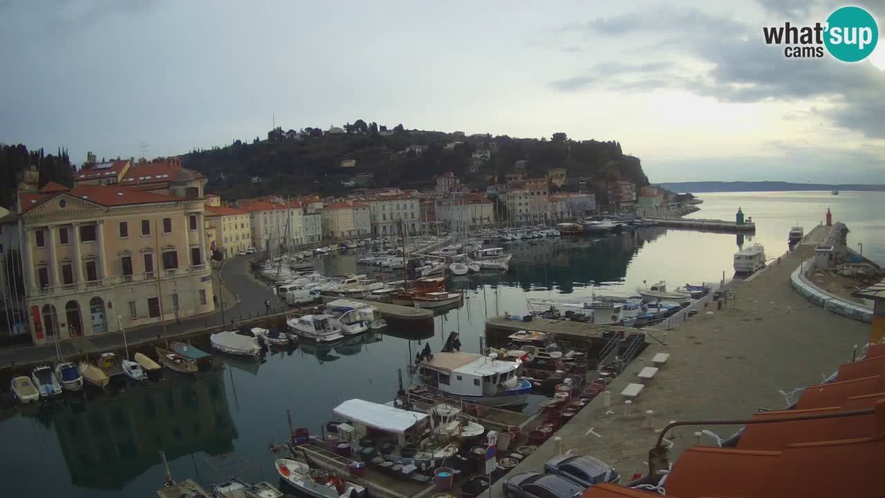 Live webcam from Piran “Mandrač” – Amazing live view from Villa Piranesi