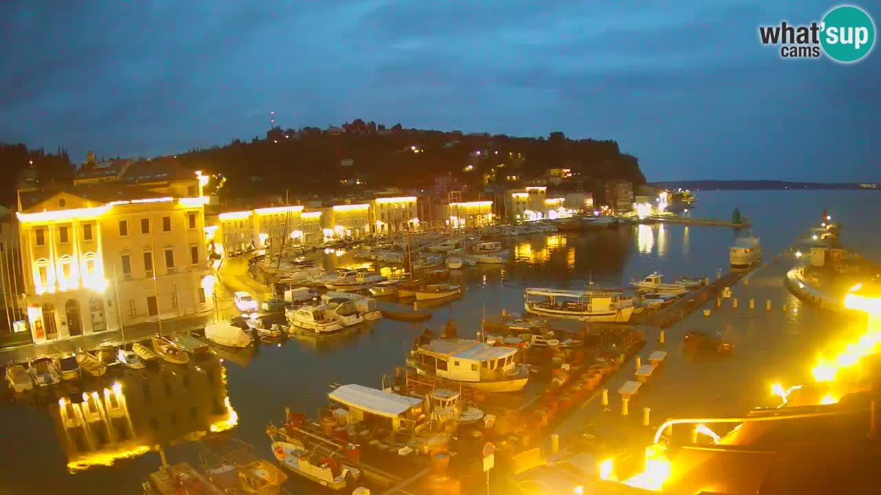 Iz Pirana Spletna kamera v živo “Mandrač” – Neverjeten pogled v živo iz Vile Piranesi