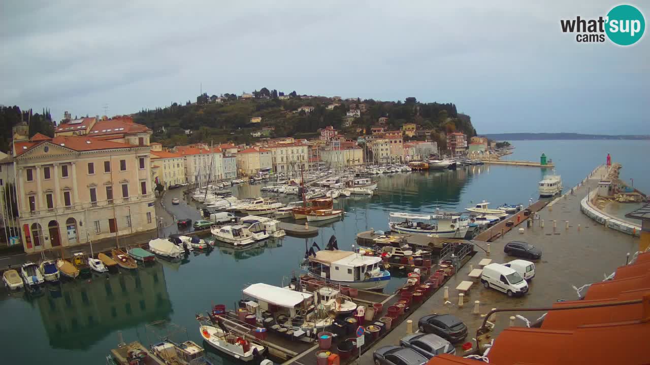 Live webcam from Piran “Mandrač” – Amazing live view from Villa Piranesi