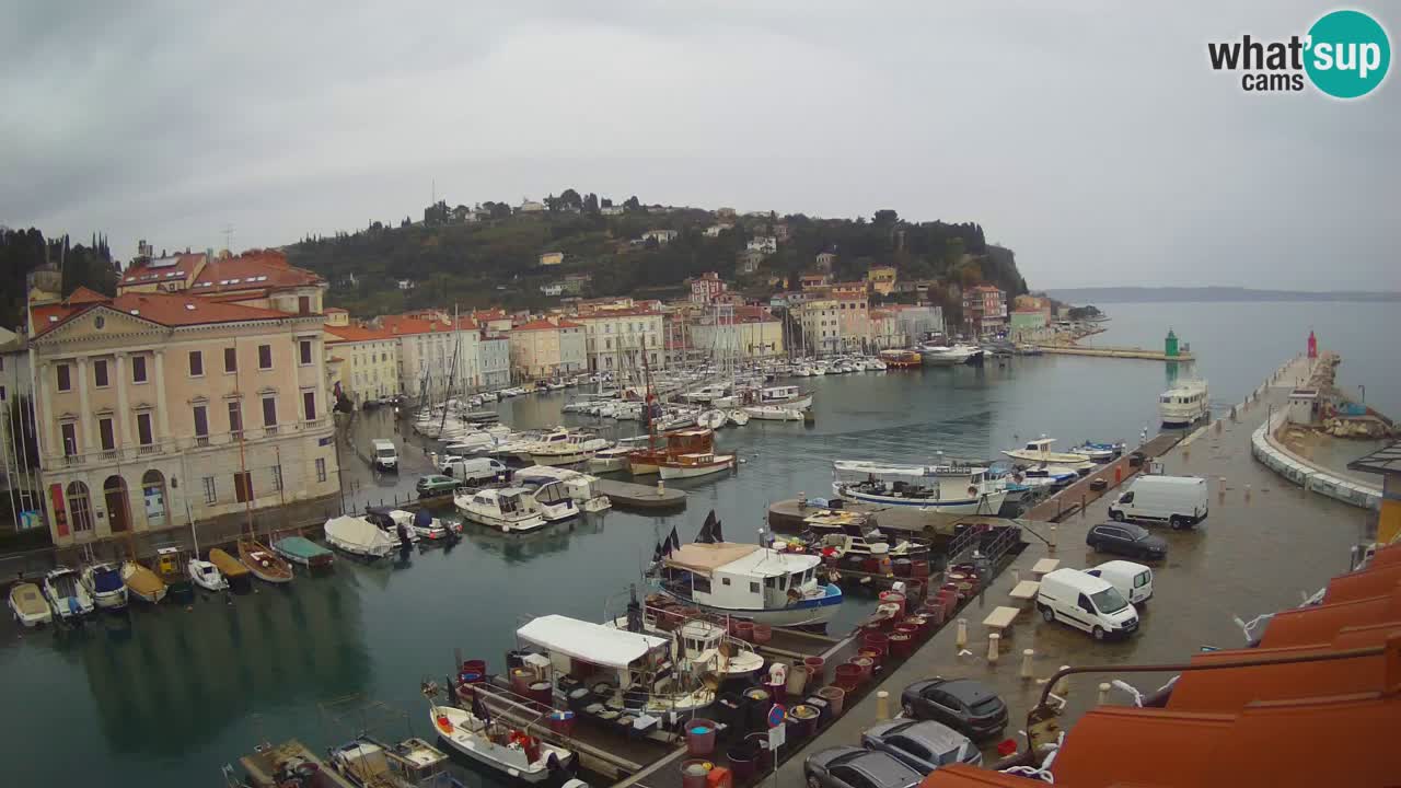 Live webcam da Pirano “Mandrač” – Splendida vista live da Villa Piranesi