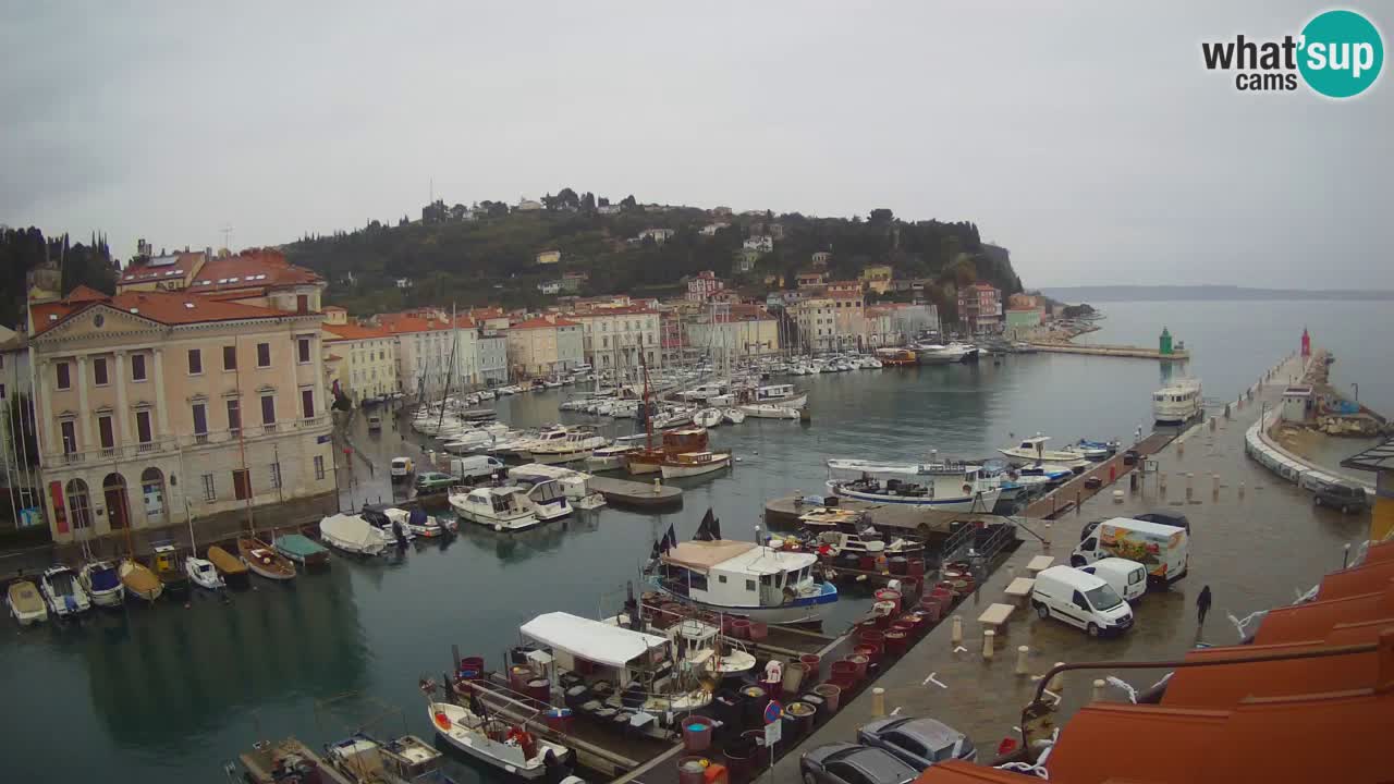 Live webcam from Piran “Mandrač” – Amazing live view from Villa Piranesi