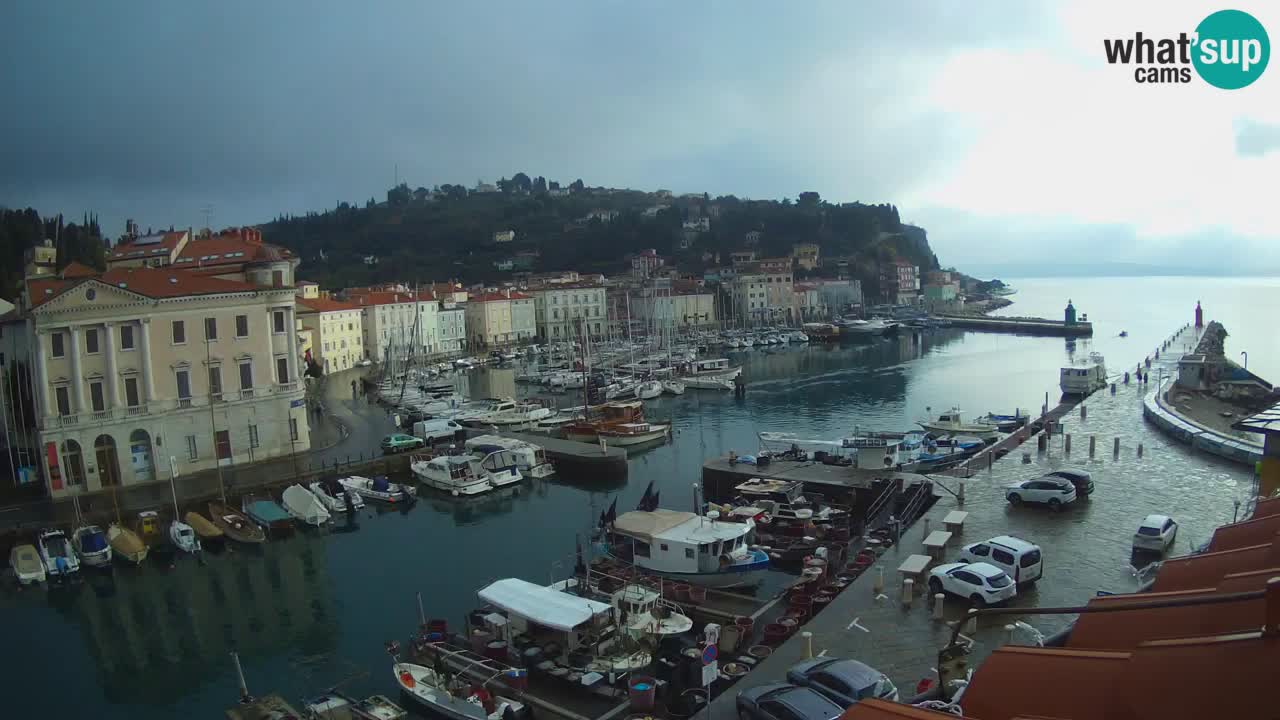 Live-Webcam aus Piran “Mandrač” – Erstaunliche Live-Ansicht von Villa Piranesi
