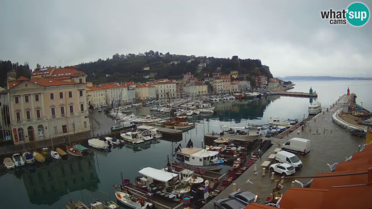 Live webcam from Piran “Mandrač” – Amazing live view from Villa Piranesi