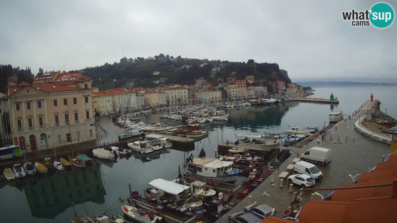 Webcam en direct de Piran “Mandrač” – Incroyable vue en direct de la Villa Piranesi
