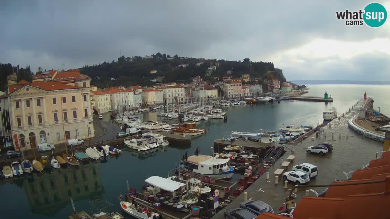 Live-Webcam aus Piran “Mandrač” – Erstaunliche Live-Ansicht von Villa Piranesi
