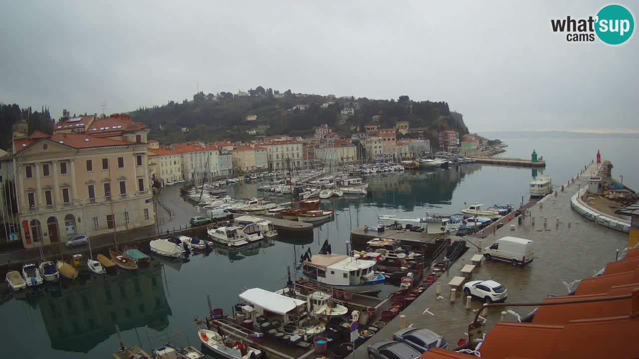 Cámara web en vivo desde Piran “Mandrač” – Increíble vista en vivo desde Villa Piranesi