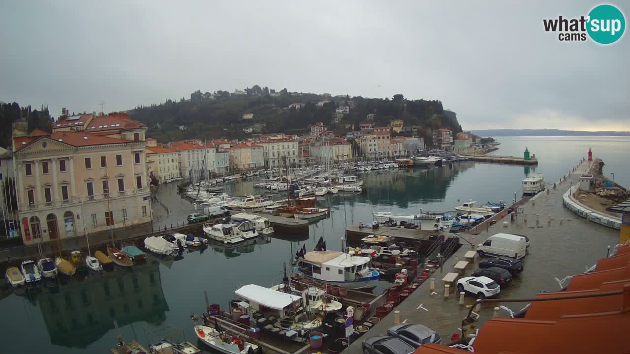 Live webcam from Piran “Mandrač” – Amazing live view from Villa Piranesi