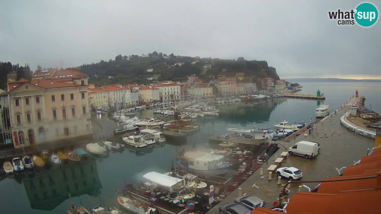 Webcam en direct de Piran “Mandrač” – Incroyable vue en direct de la Villa Piranesi