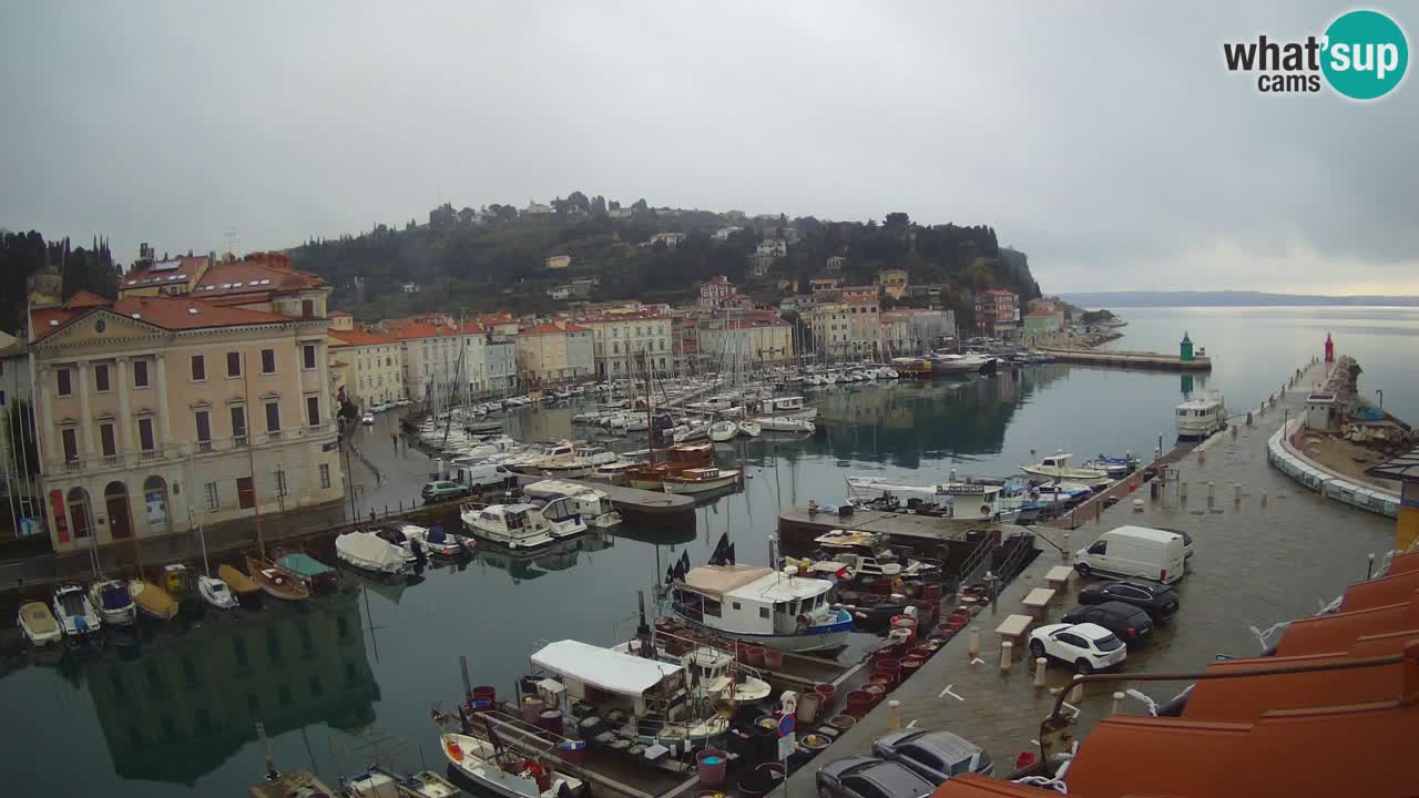 Cámara web en vivo desde Piran “Mandrač” – Increíble vista en vivo desde Villa Piranesi