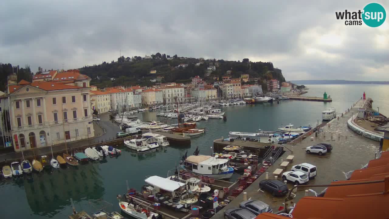 Webcam en direct de Piran “Mandrač” – Incroyable vue en direct de la Villa Piranesi