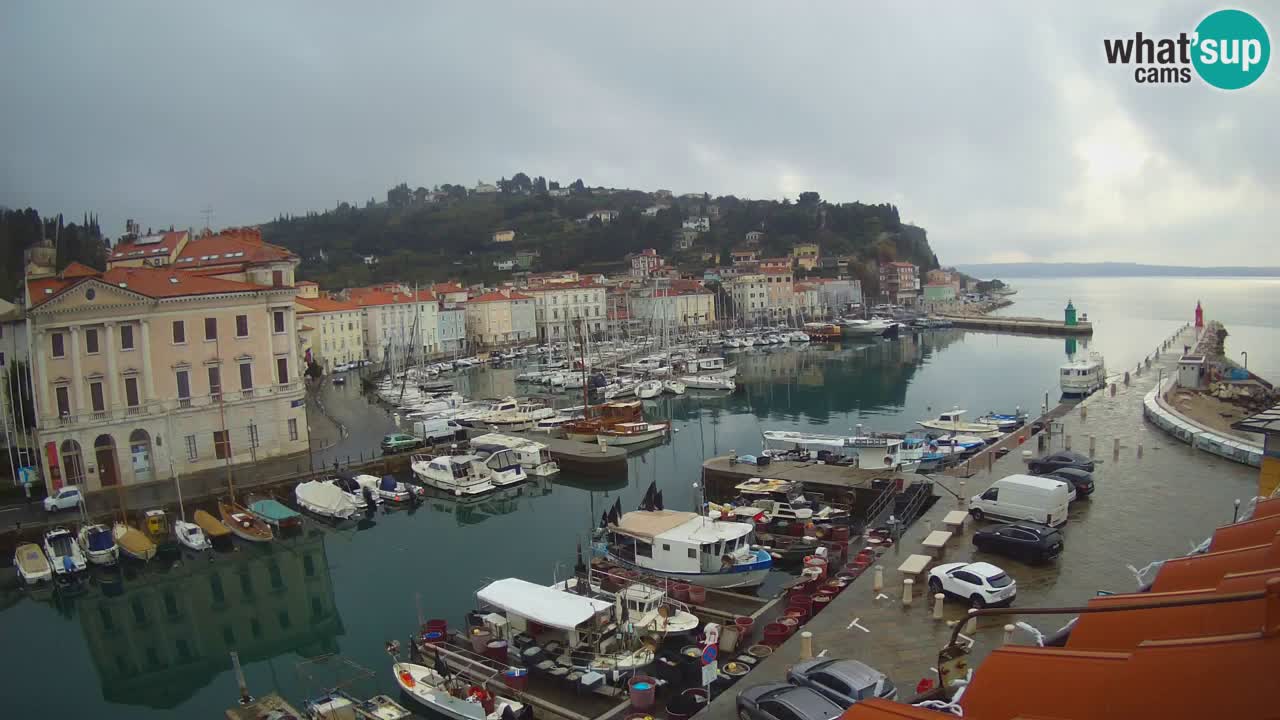 Webcam en direct de Piran “Mandrač” – Incroyable vue en direct de la Villa Piranesi