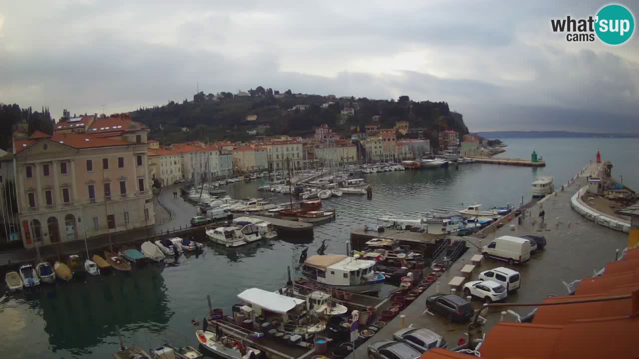 Cámara web en vivo desde Piran “Mandrač” – Increíble vista en vivo desde Villa Piranesi