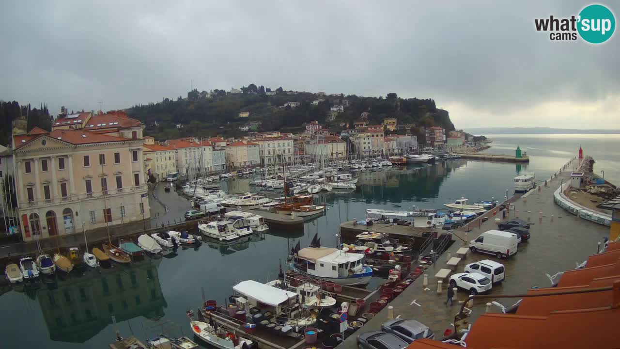 Live webcam from Piran “Mandrač” – Amazing live view from Villa Piranesi