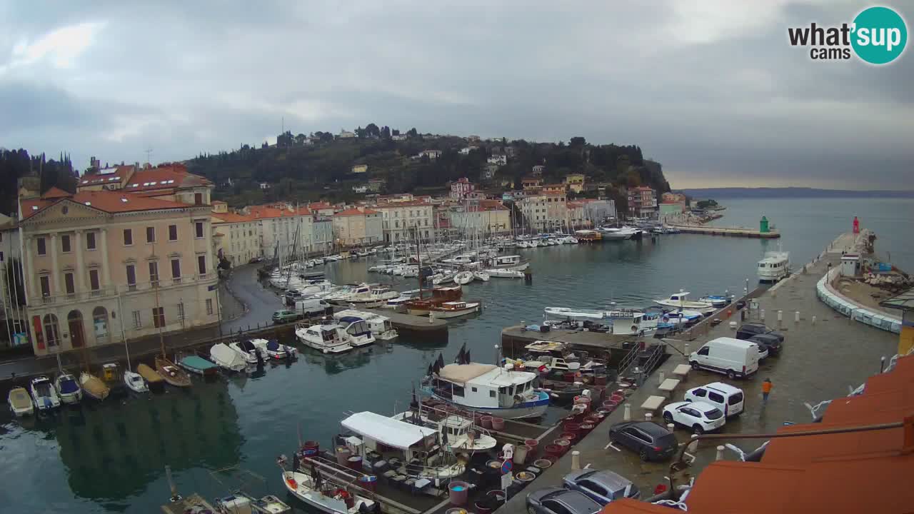 Live-Webcam aus Piran “Mandrač” – Erstaunliche Live-Ansicht von Villa Piranesi