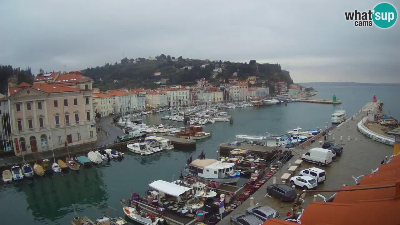 Live-Webcam aus Piran “Mandrač” – Erstaunliche Live-Ansicht von Villa Piranesi