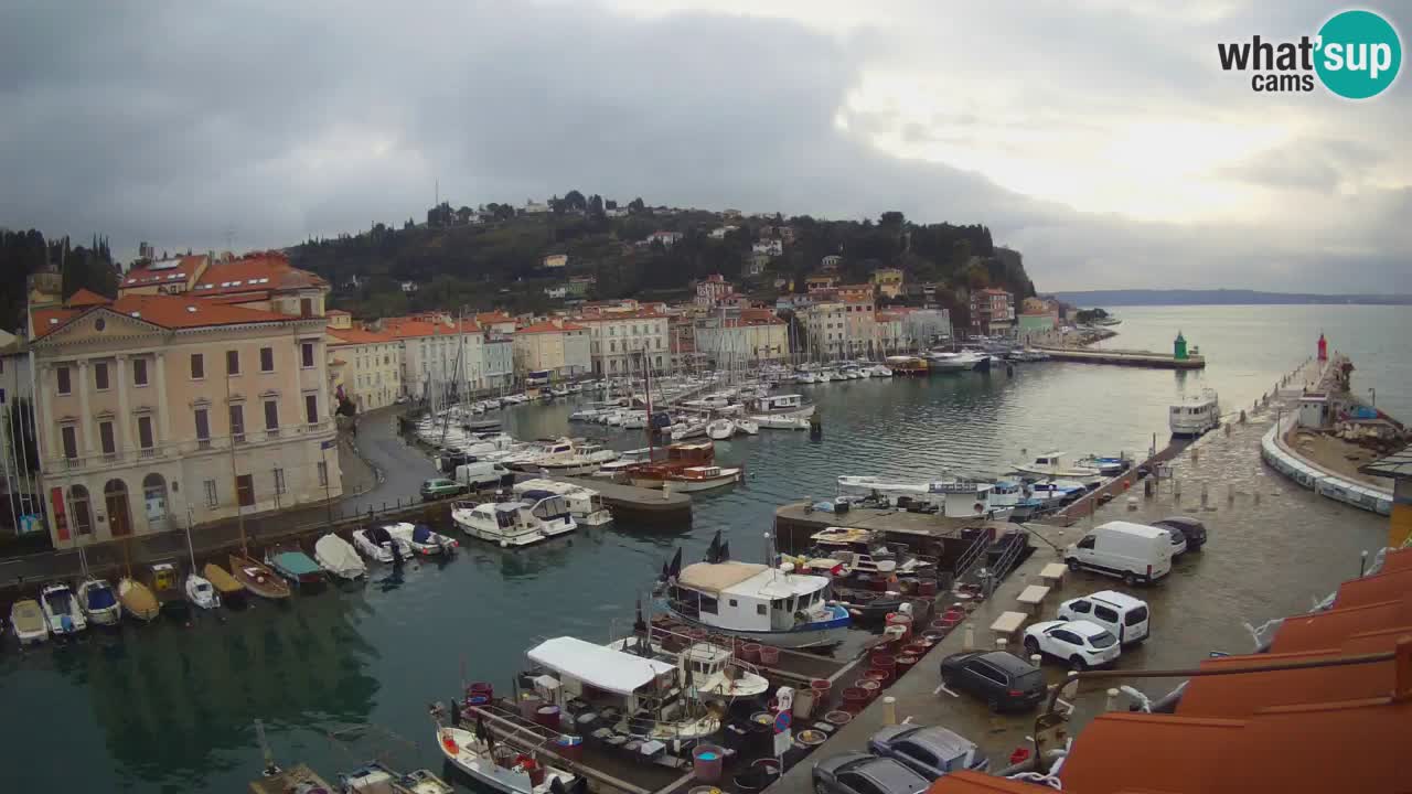 Webcam en direct de Piran “Mandrač” – Incroyable vue en direct de la Villa Piranesi