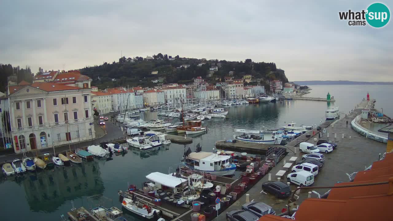 Live webcam from Piran “Mandrač” – Amazing live view from Villa Piranesi