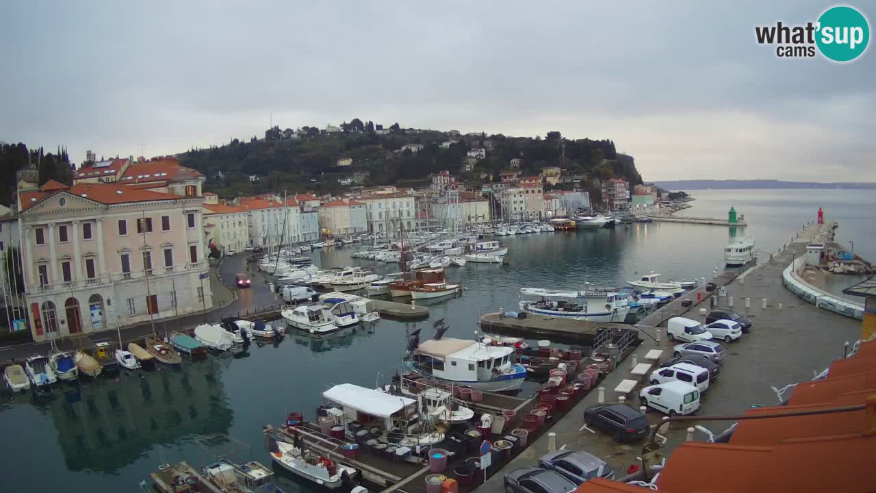 Live webcam from Piran “Mandrač” – Amazing live view from Villa Piranesi