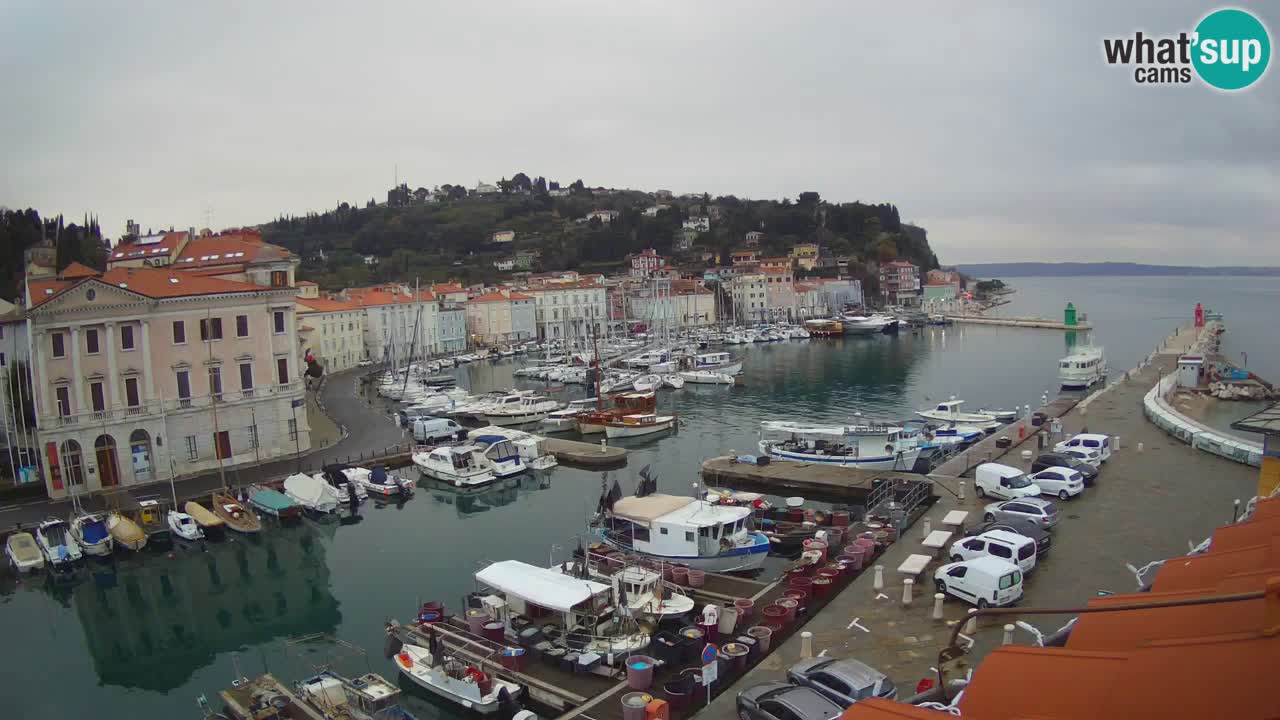 Webcam en direct de Piran “Mandrač” – Incroyable vue en direct de la Villa Piranesi