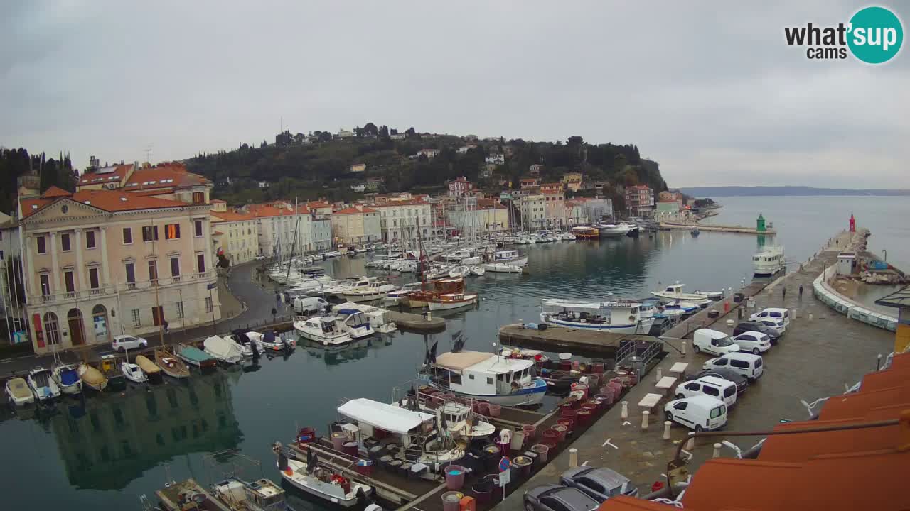 Webcam en direct de Piran “Mandrač” – Incroyable vue en direct de la Villa Piranesi