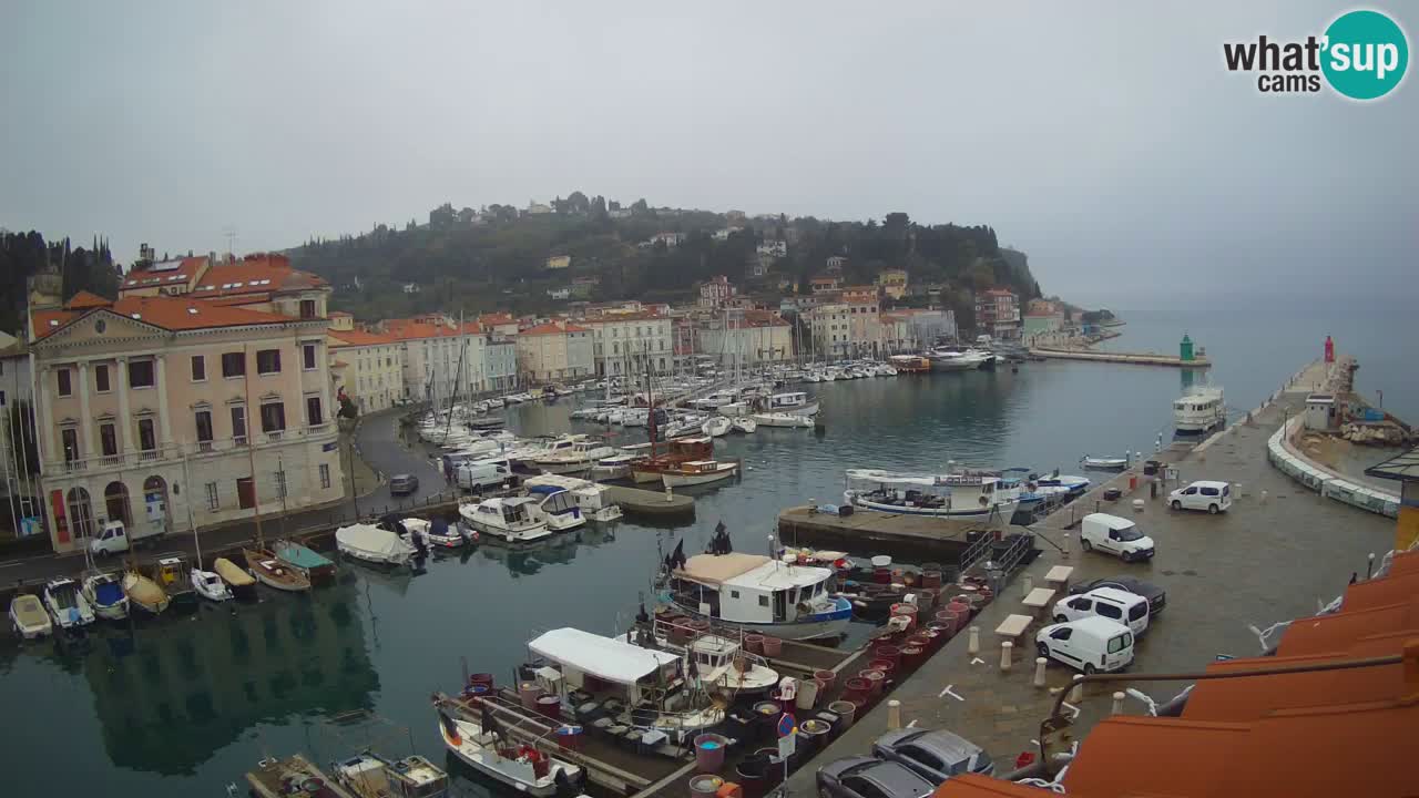 Live webcam da Pirano “Mandrač” – Splendida vista live da Villa Piranesi