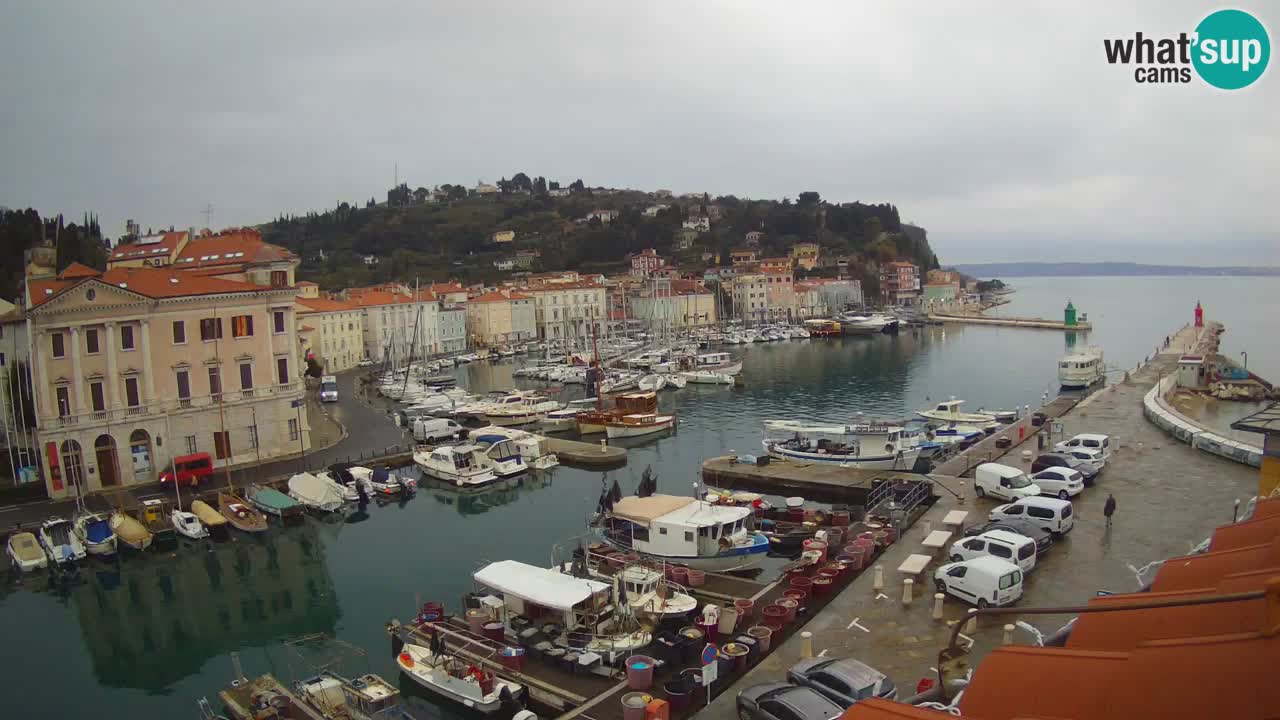 Live-Webcam aus Piran “Mandrač” – Erstaunliche Live-Ansicht von Villa Piranesi