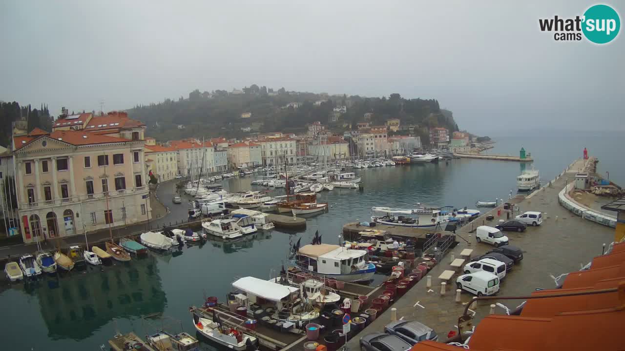 Webcam en direct de Piran “Mandrač” – Incroyable vue en direct de la Villa Piranesi