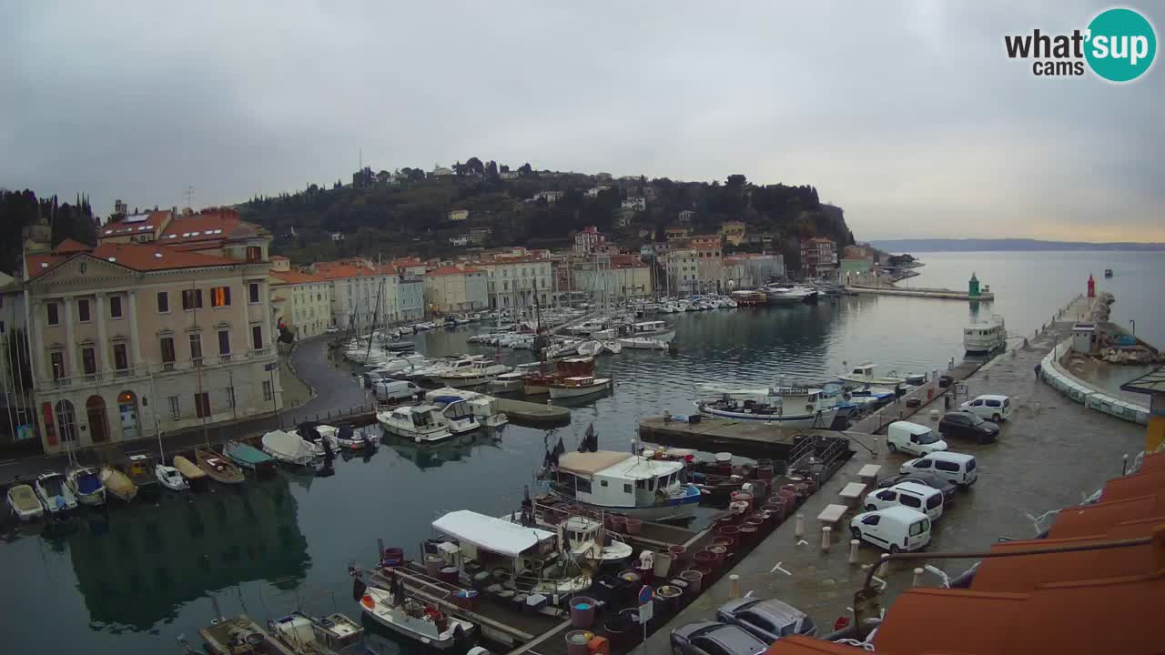 Webcam en direct de Piran “Mandrač” – Incroyable vue en direct de la Villa Piranesi