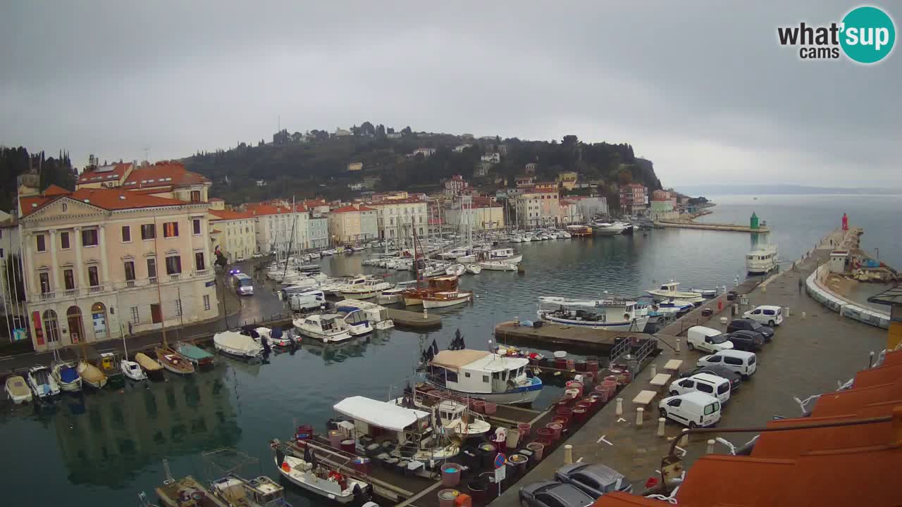 Live webcam da Pirano “Mandrač” – Splendida vista live da Villa Piranesi