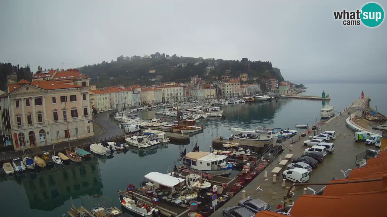 Webcam en direct de Piran “Mandrač” – Incroyable vue en direct de la Villa Piranesi