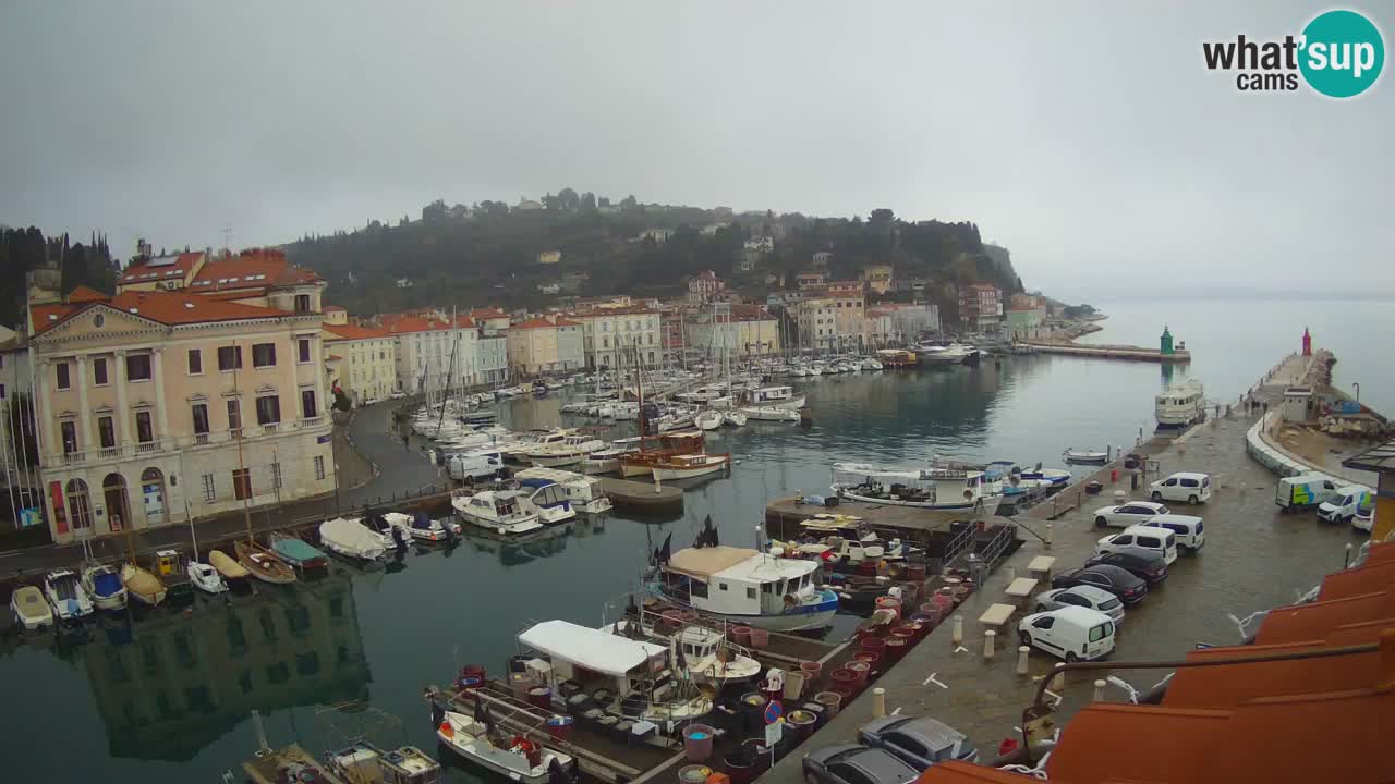 Cámara web en vivo desde Piran “Mandrač” – Increíble vista en vivo desde Villa Piranesi