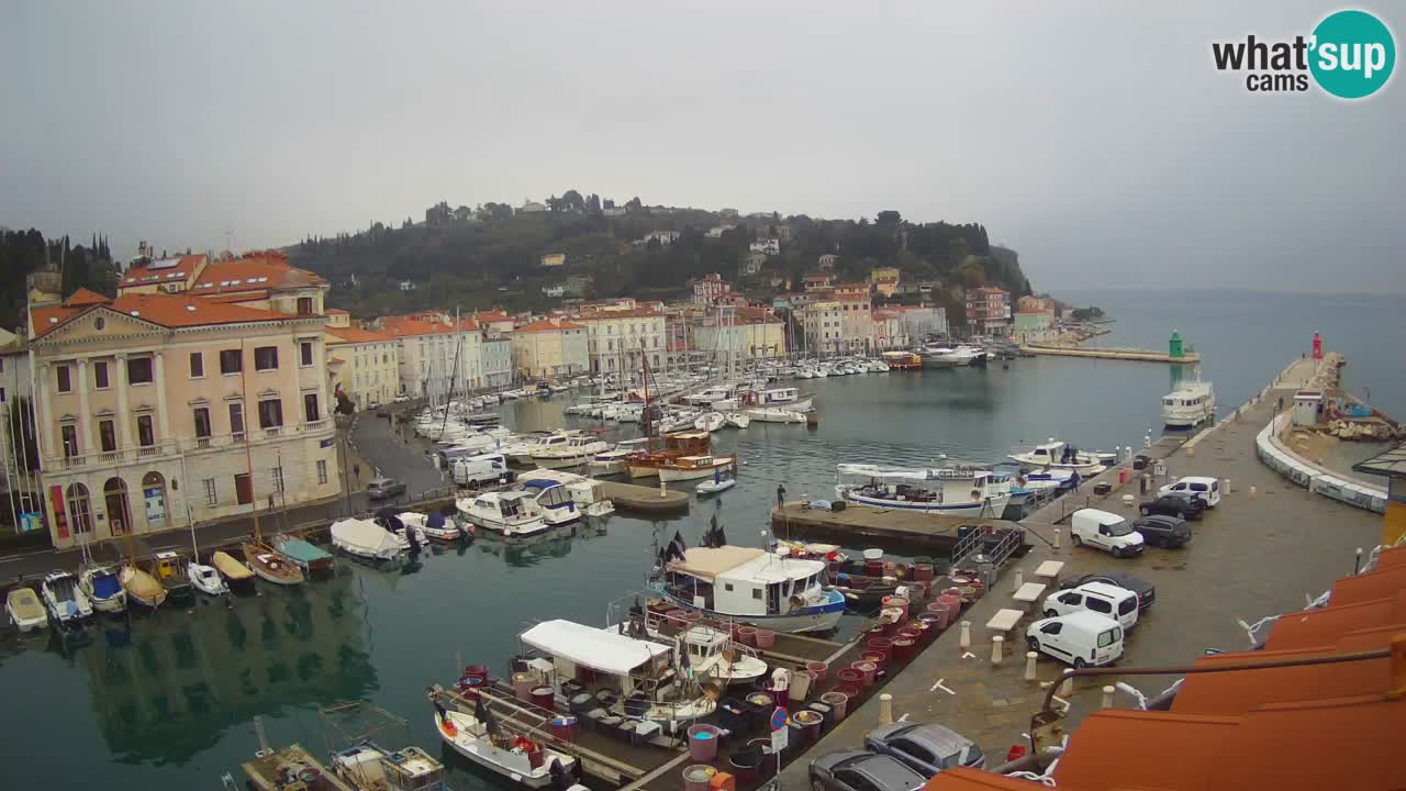Live-Webcam aus Piran “Mandrač” – Erstaunliche Live-Ansicht von Villa Piranesi