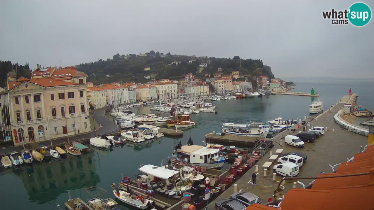 Live webcam from Piran “Mandrač” – Amazing live view from Villa Piranesi