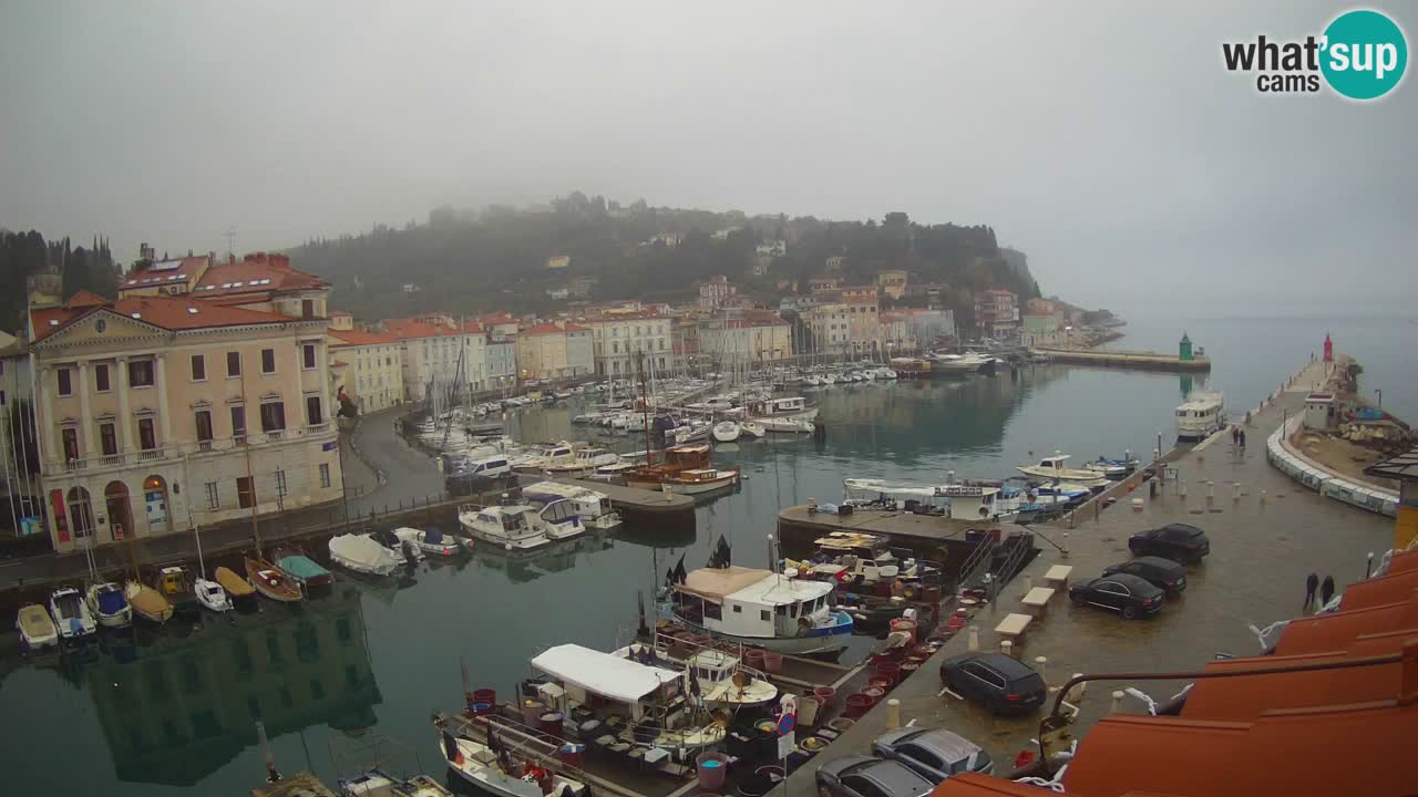 Live-Webcam aus Piran “Mandrač” – Erstaunliche Live-Ansicht von Villa Piranesi