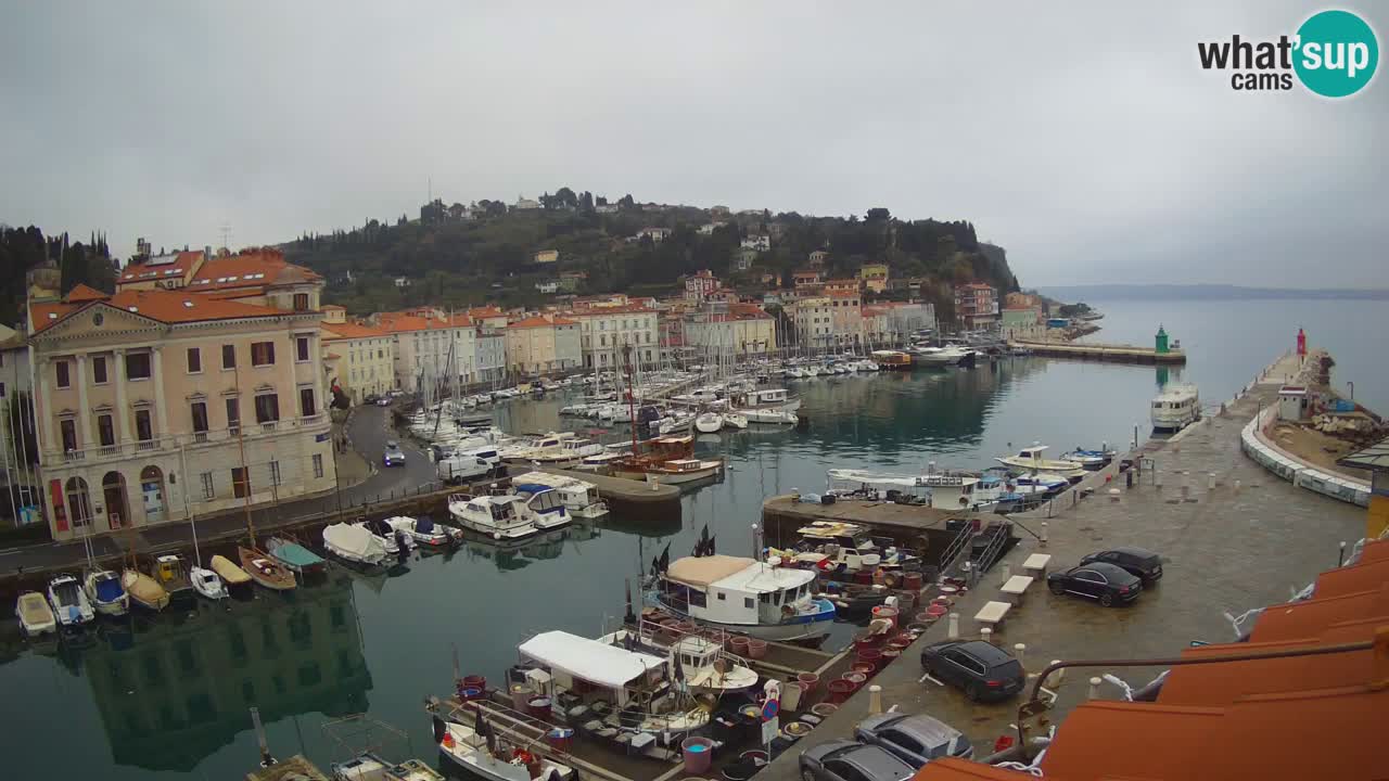 Webcam en direct de Piran “Mandrač” – Incroyable vue en direct de la Villa Piranesi