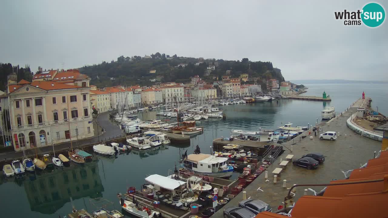 Live-Webcam aus Piran “Mandrač” – Erstaunliche Live-Ansicht von Villa Piranesi
