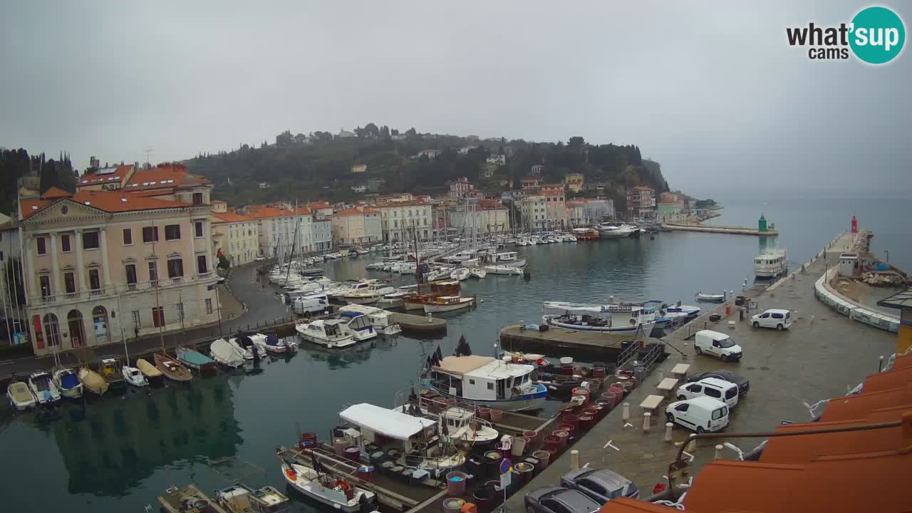 Live-Webcam aus Piran “Mandrač” – Erstaunliche Live-Ansicht von Villa Piranesi