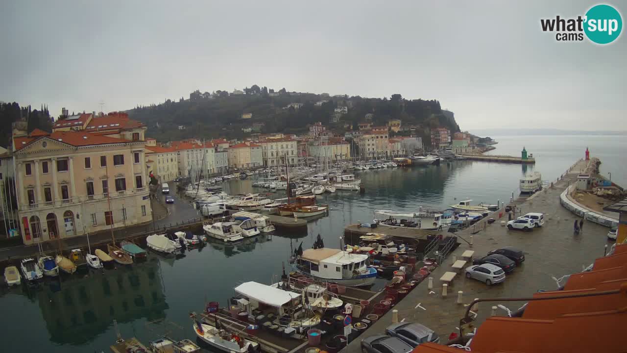 Live webcam from Piran “Mandrač” – Amazing live view from Villa Piranesi
